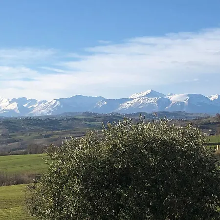 Vernaccia - Azienda Mastrocola