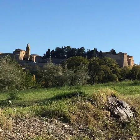 Vernaccia - Azienda Mastrocola Loro Piceno